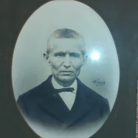 Malavas