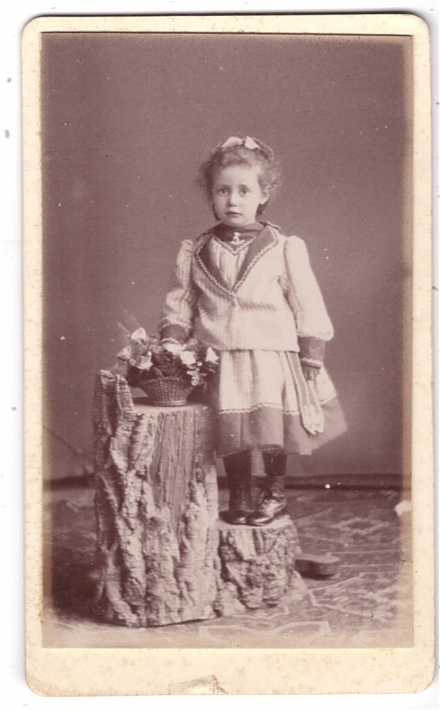 Odette perchée sur un arbre factice