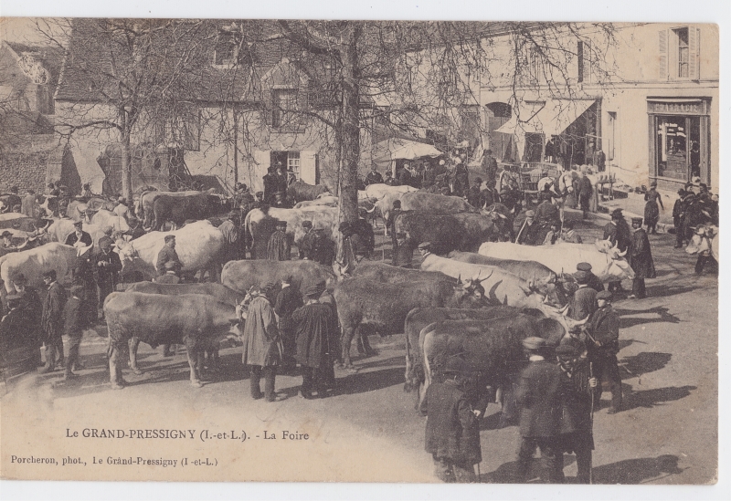 La foire aux bestiaux au Grand-Pressigny